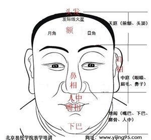 面相學額頭|細聊額頭紋路看命運「面相學」